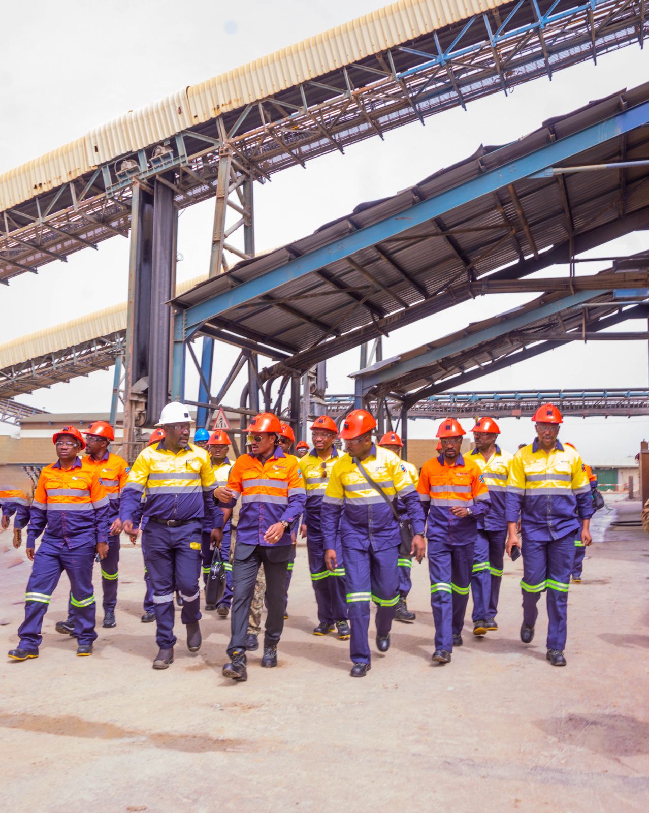 WhatsApp Image 2026-02-20 at 11.48.20